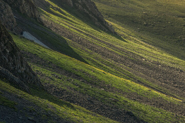 Scenic mountain slope in warm evening light, with long shadow casting across grassy rocky...