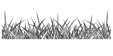 Monochrome Illustration of Long Grass Blades Creating a Border Effect