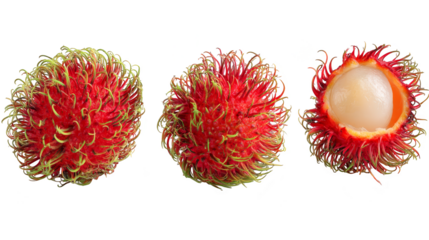 Three fresh rambutans are arranged horizontally: two whole, vibrant red and hairy fruits, and one peeled half revealing its translucent white flesh and seed, all isolated on a white background.