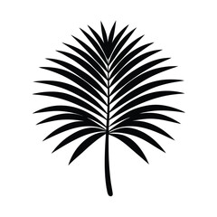 Fototapeta premium Fan-Shaped Palm Leaf Silhouette Vector Design