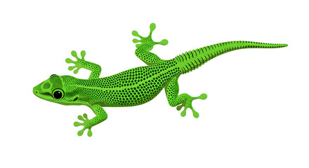 Naklejka premium Vibrant Green Gecko on White Background, Reptile Wildlife Illustration