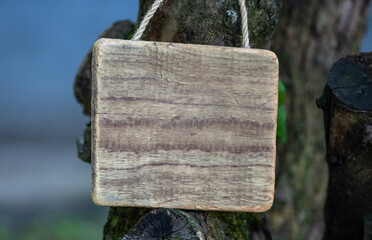Rustic old wooden empty board hangs on tree