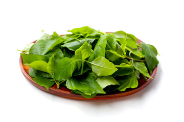 Fresh Sweet Ivy leaves for cooking, Asystasia gangetica (L.) T. Anders.
