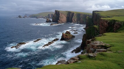 Shetland Islands: British Cliff Coastline with High Grass on Scottish Coast