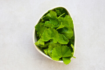 Gotu kola, fresh green leaves