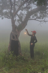 The Bolaven Plateau is a plateau in southern Laos.
