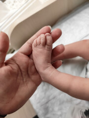 small child's foot of a newborn in the mother's hand, birth, maternity hospital, new life,...