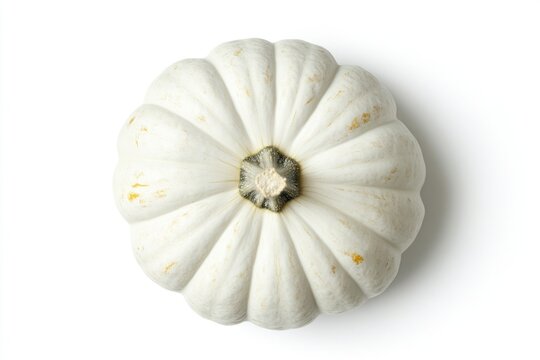 White pimpkin background vegetable pumpkin.
