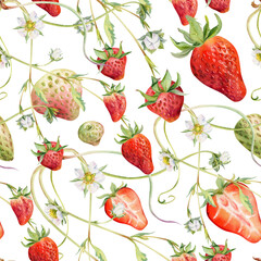 Strawberry berries leaves flowers growing on vines tendrils creepers, ripe garden pineberry strasberry. Hand drawn in watercolor. Isolated seamless pattern. Farmers market, food packaging, textile