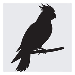 Fototapeta premium Flying Cockatiel Silhouette Vector – Parrot SVG Design