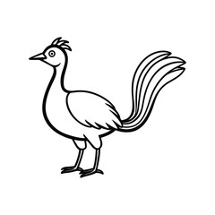 Obraz premium a lyrebird bird line art silhouette vector illustration on white background