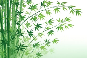 Fototapeta premium Green bamboo leaves and stems on white background with natural and calming Asian botanical theme