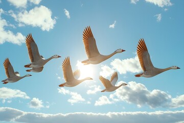 Flock of Geese Flying High in a Blue Sky with Clouds, Nature Background