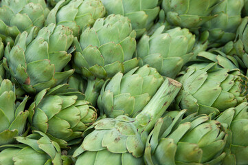 Box of freshly harvested, green artichokes for sale in a produce market.