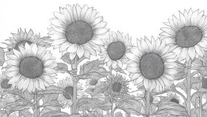 A grayscale drawing of sunflowers