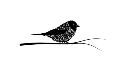 Black-hooded Sierra Finch bird, black isolated silhouette