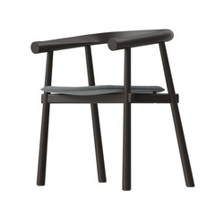 Dark Wood Minimalist Dining Chair Isolated