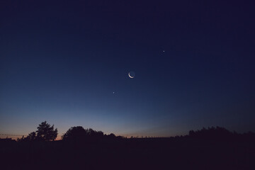 Morning old Moon with stars, planets and rural countryside tree silhouettes. © astrosystem