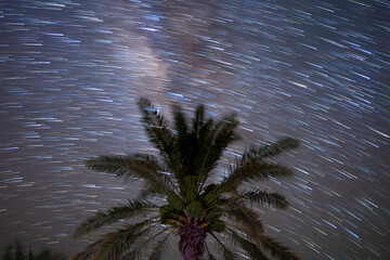 The night sky stars Milky Way galaxy over the dates palm tree in the oasis desert farm sand dune....