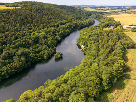 Aerial view of the river winding through the dense green forest contrasting with the golden fields under the clear sky, Pressmennan Lake, Dunbar, Scotland, United Kingdom.