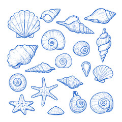 Seashells vector illustration drawing of various sea shells and starfish collection nautical beach theme art 100 