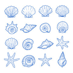 Collection of seashells and starfish vector illustration for summer beach ocean nautical designs and decor 