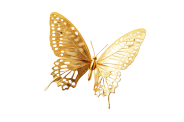Elegant golden butterfly with intricate wings and shiny texture perfect for luxury designs and nature inspired projects isolated on transparent background