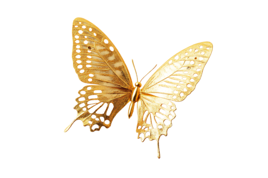 Elegant golden butterfly with intricate wings and shiny texture perfect for luxury designs and nature inspired projects isolated on transparent background