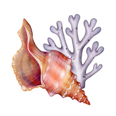 Seashell with purple coral branch watercolor illustration