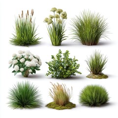 Collection of nine diverse green plants and grasses