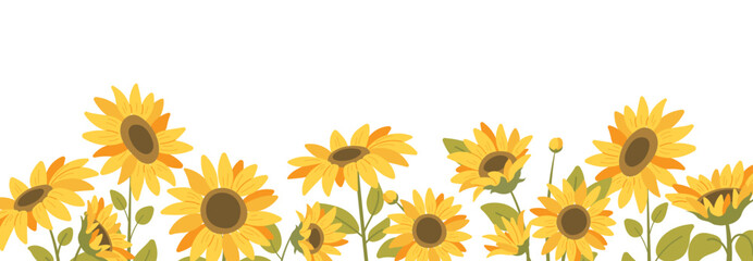Floral frame, frame with sunflowers on white background. Spring botanical pattern with flat flowers. Vector horizontal panorama with sunflowers