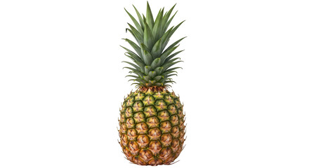 Isolated Pineapple