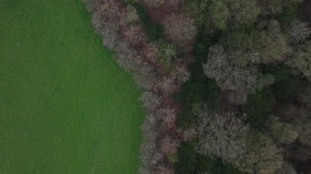 Aerial view of a waste water treatment plant surrounded by lush greenery and trees, contrasting with the murky water inside, Peebles, Scotland, United Kingdom.