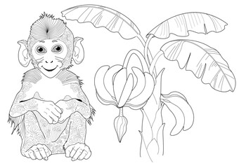 Coloring pages for art therapy. Animals and plants of Asia. Cute monkey with bananas. A calming and educational journey around the world with a collection of coloring pages.
