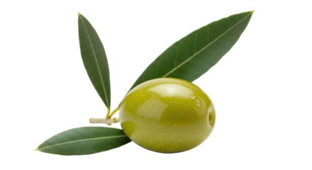 Isolated Green Olive with Leaves