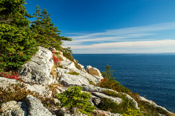 Coastal rocks and pine trees and the Atlantic Ocean at Halifax, Nova Scotia, Canada.