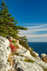 Coastal headland rocks and pine trees and the Atlantic Ocean at Halifax, Nova Scotia, Canada.