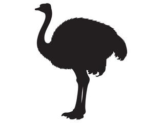 OSTRICH SILHOUETTE