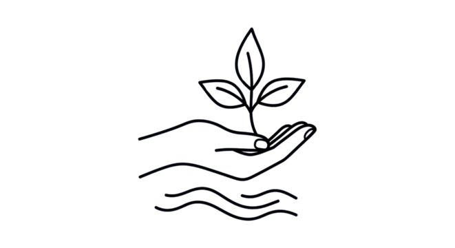 Hand holding plant, waves isolated PNG with Transparent Background