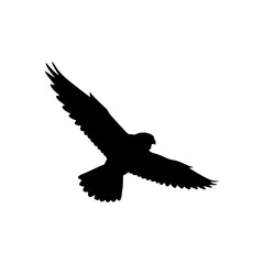 Peregrine falcon flying silhouette vector flat illustration design. 