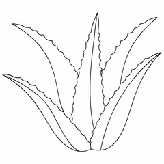 Aloe Vera Plant Line Art &ndash; Minimalist Herbal Illustration