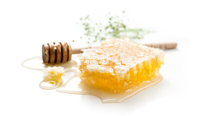 Fresh Honey in honeycombs dripping, pouring from a wooden honey dipper spoon, on white background. Honeycomb close-up. Healthy organic liquid honey spill, with tiny flowers 