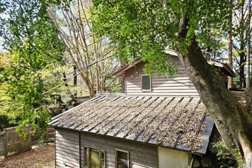 Dried Leaves on the Roof, Suitable for House Problems and Solutions.