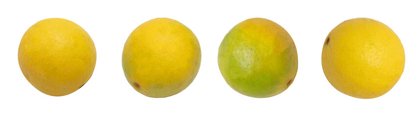 Whole Yellow Lemons Isolated on White Background 