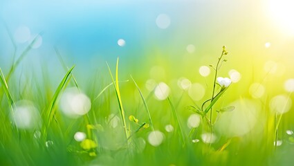Obraz premium Ethereal Green Grass Blades and Delicate White Flower with Soft Bokeh and Vibrant Light Gradient
