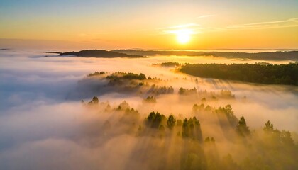 Fototapeta premium Sunrise over a misty forest