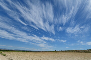 Campagne aride. Ciel bleu et nuages blancs. Andalousie. Espagne.