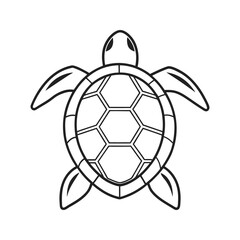 Top view turtle icon in clean outline style with flippers and shell segments vector illustration © Rabea