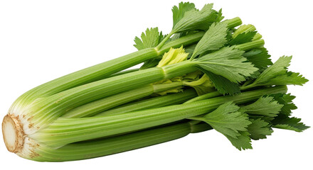 Isolated Fresh Celery Stalks