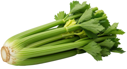 Isolated Fresh Celery Stalks